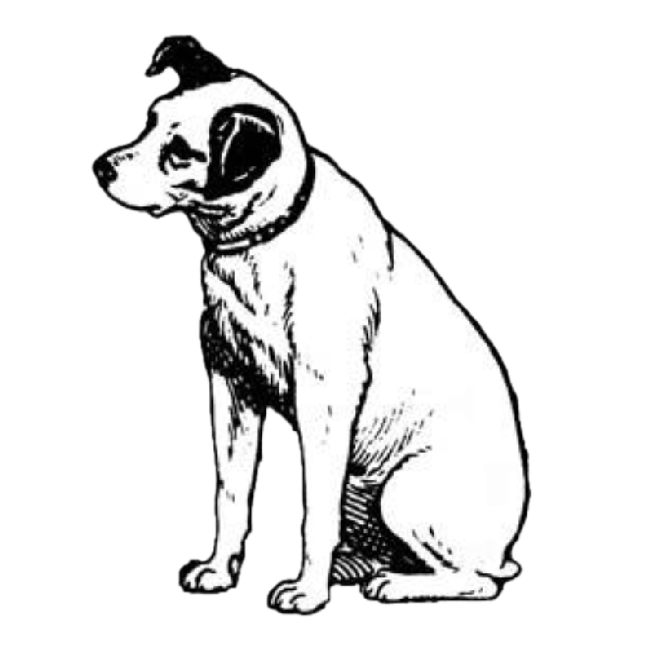 BTC DOG Logo